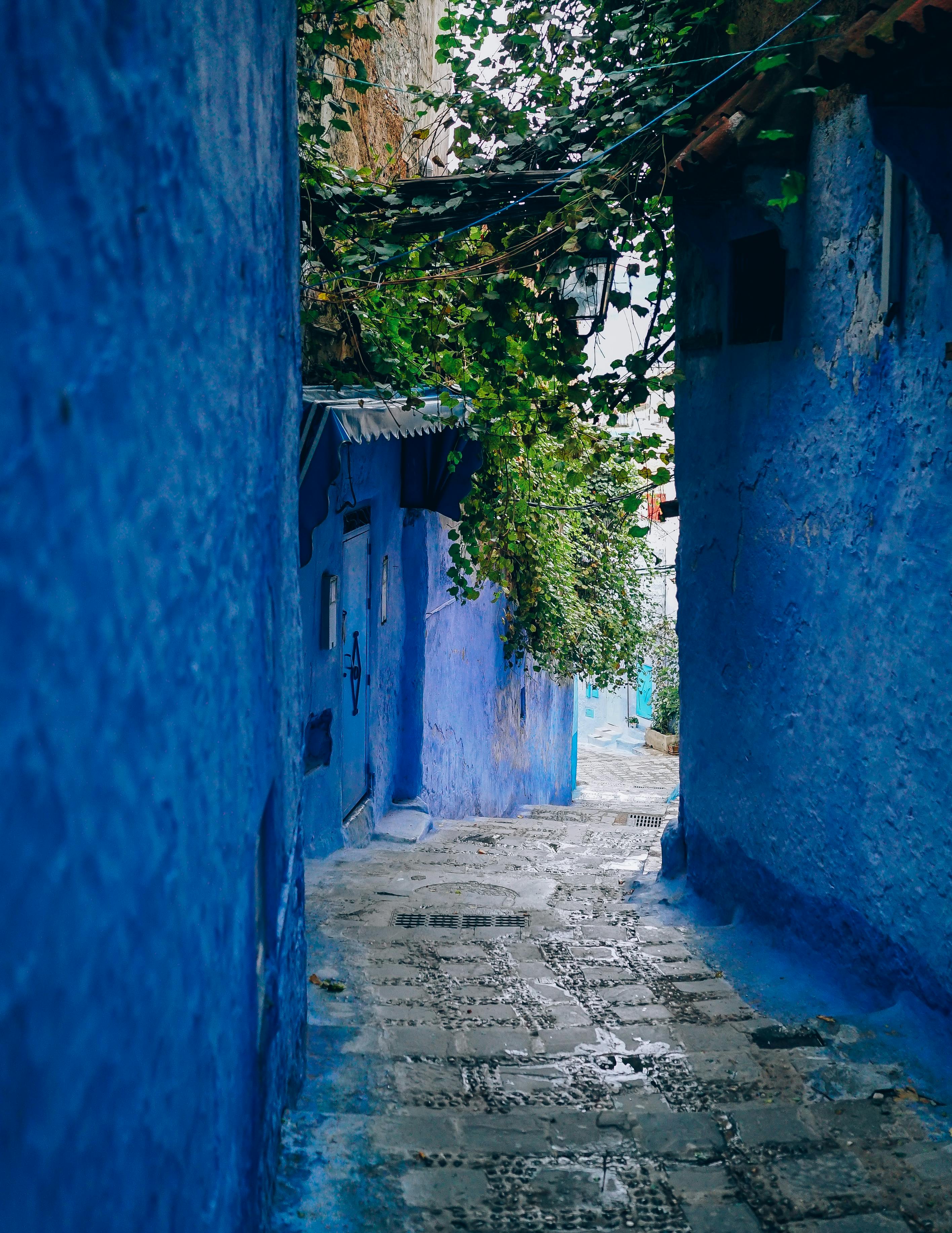 Morocco honeymoon style