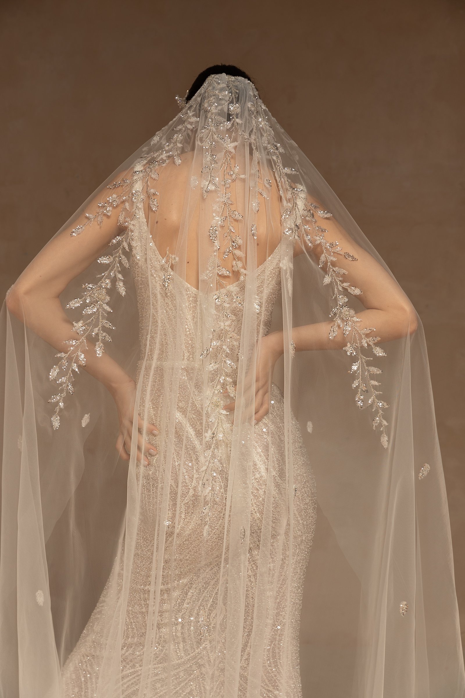 veils-2022-nv2218.jpg