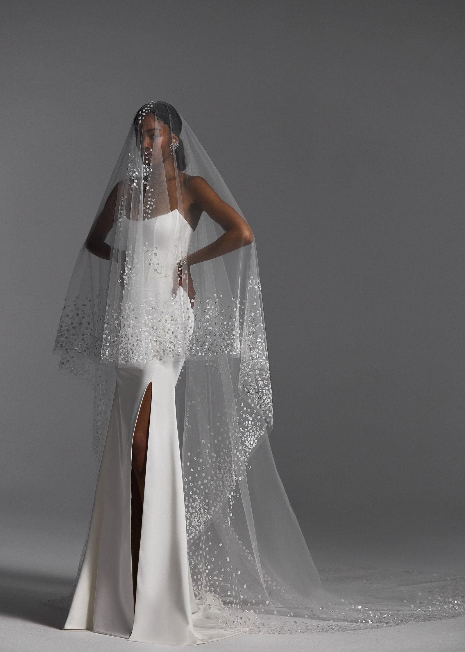 Veils 2024 NV2401 2