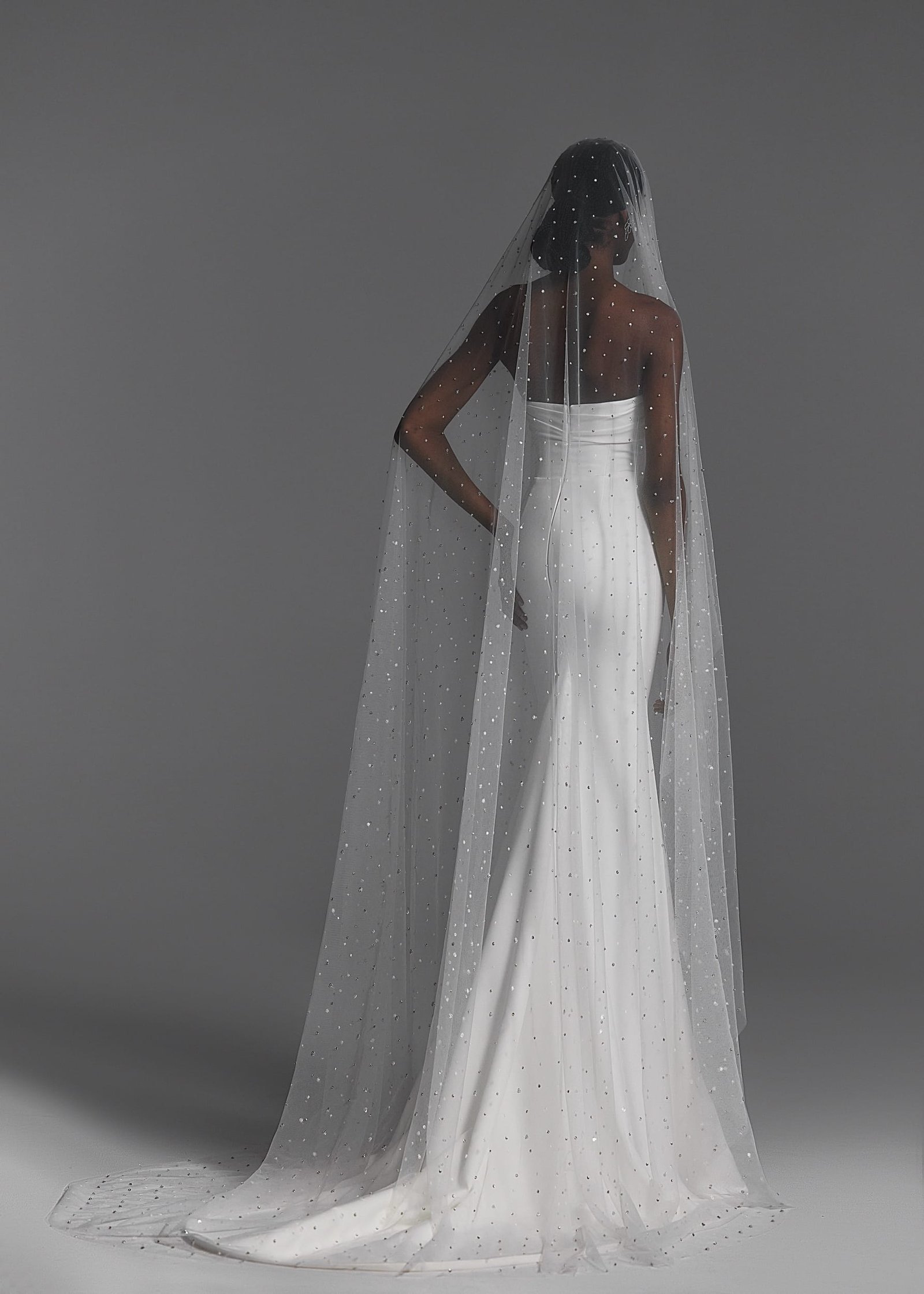 Veils 2024 NV2402 2