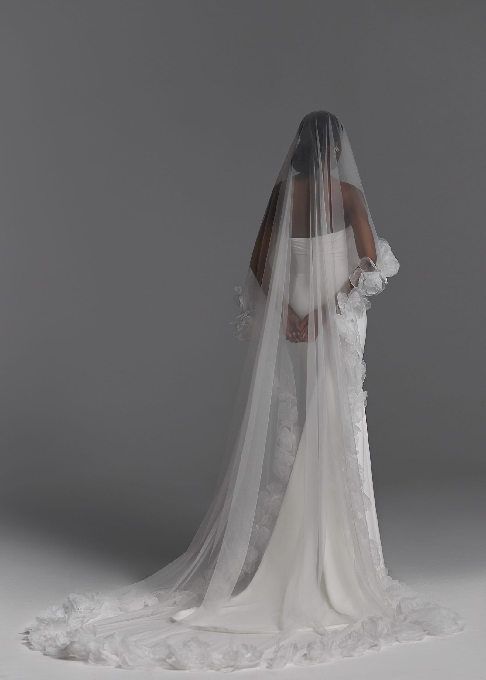 Veils 2024 NV2403 1