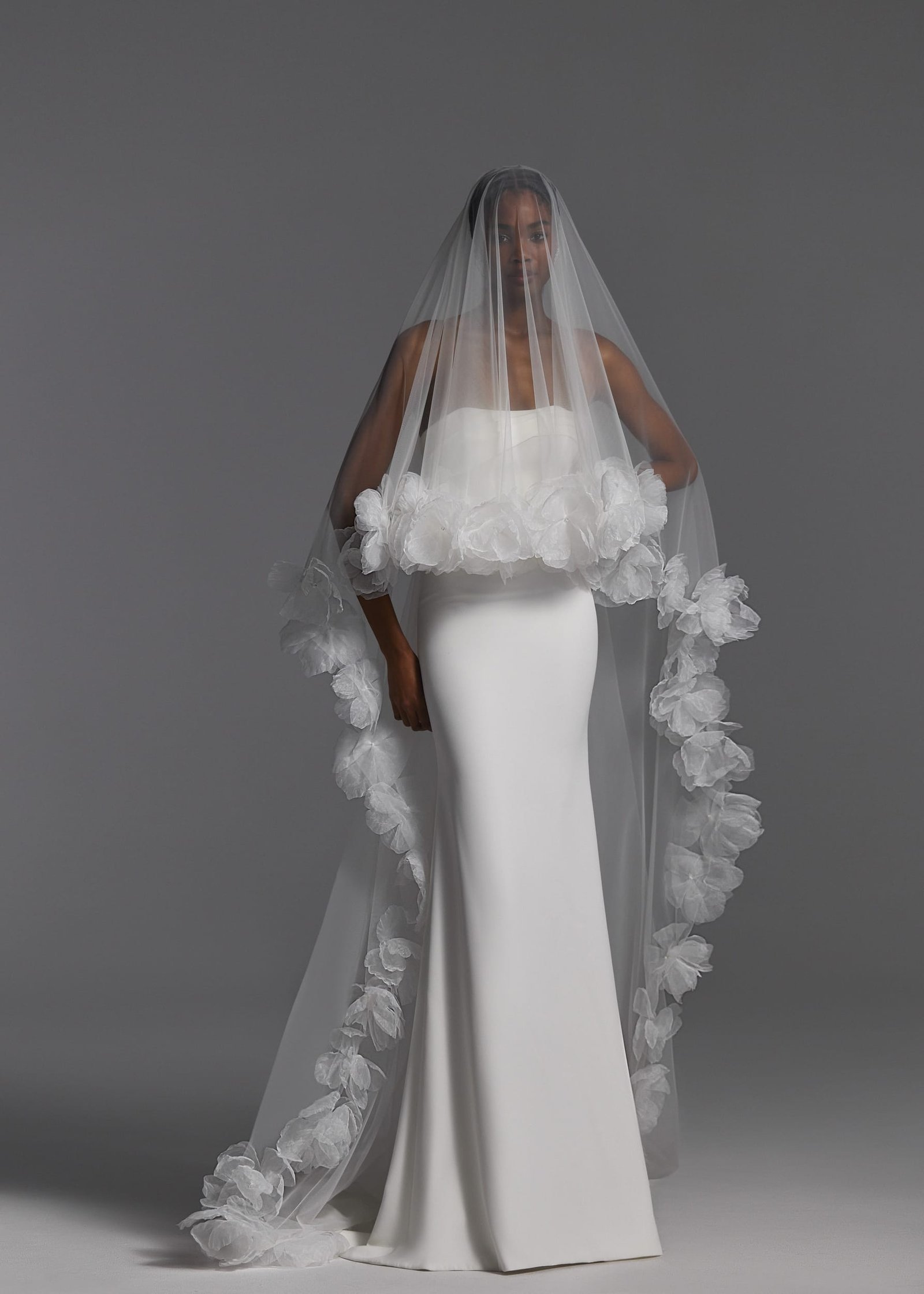 Veils 2024 NV2403 2