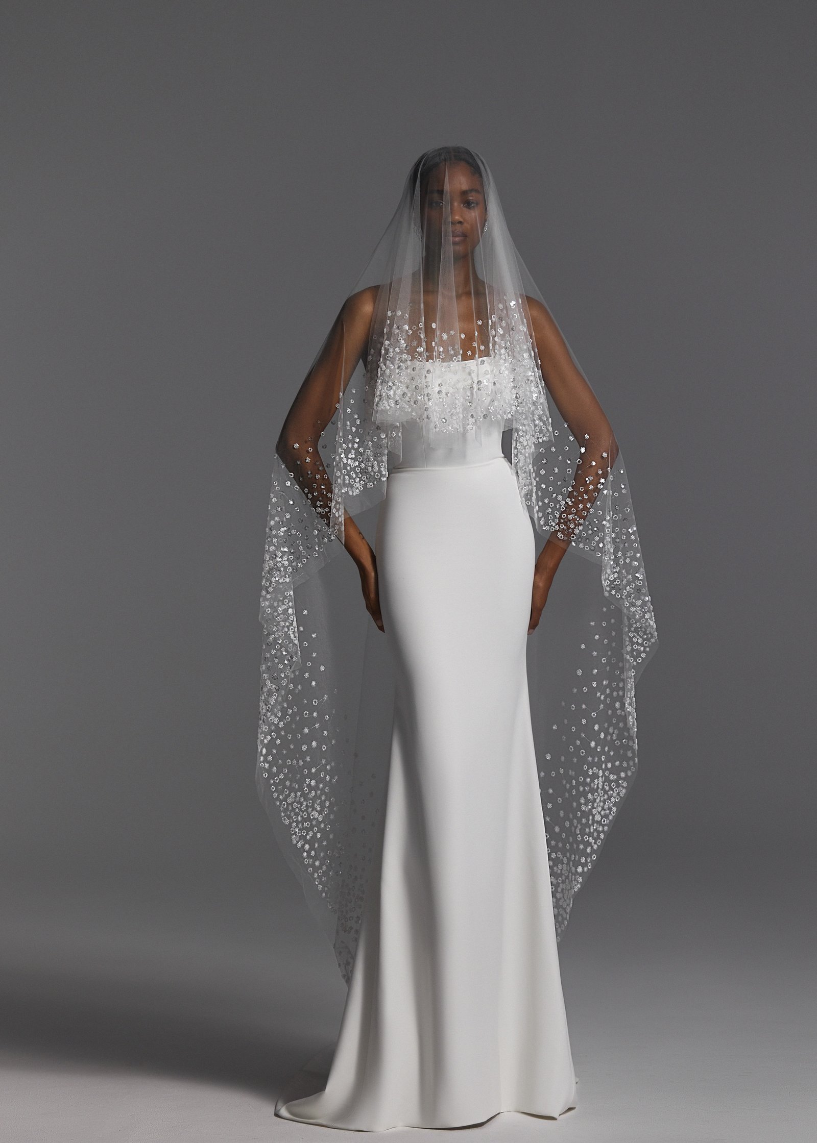 Veils 2024 NV2405 2