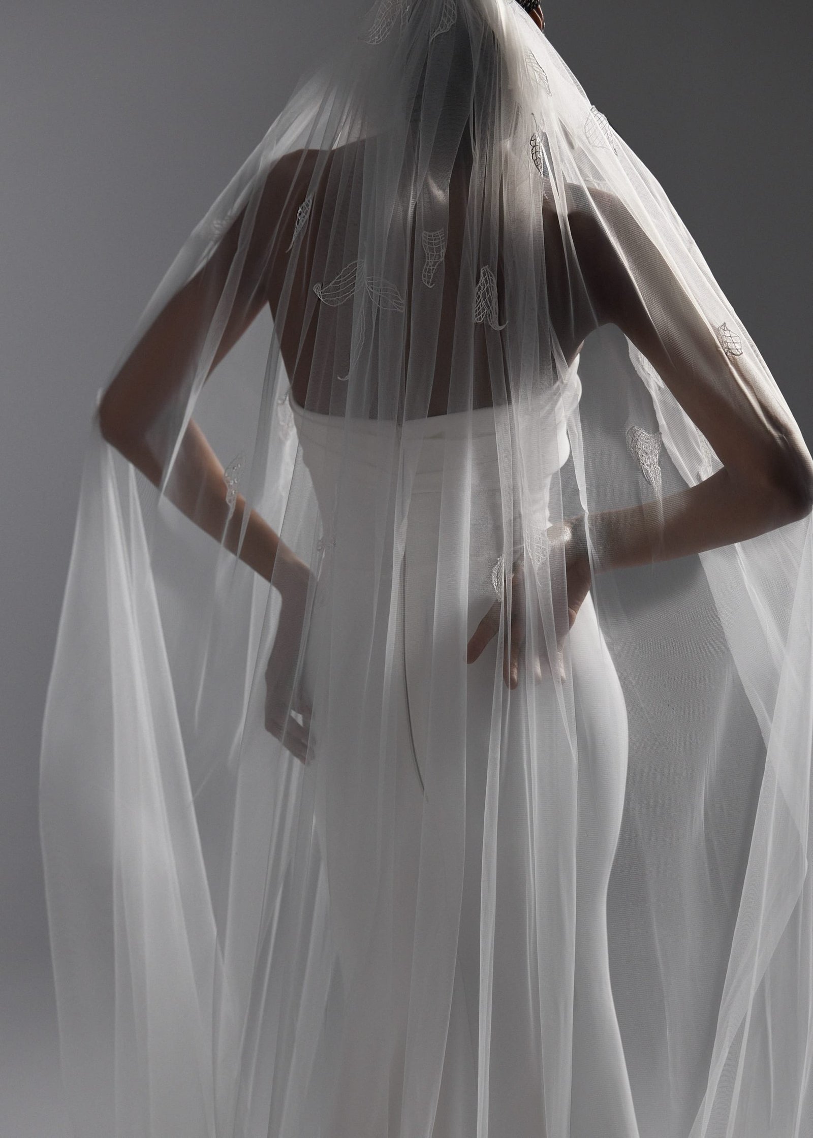 Veils 2024 NV2410 1