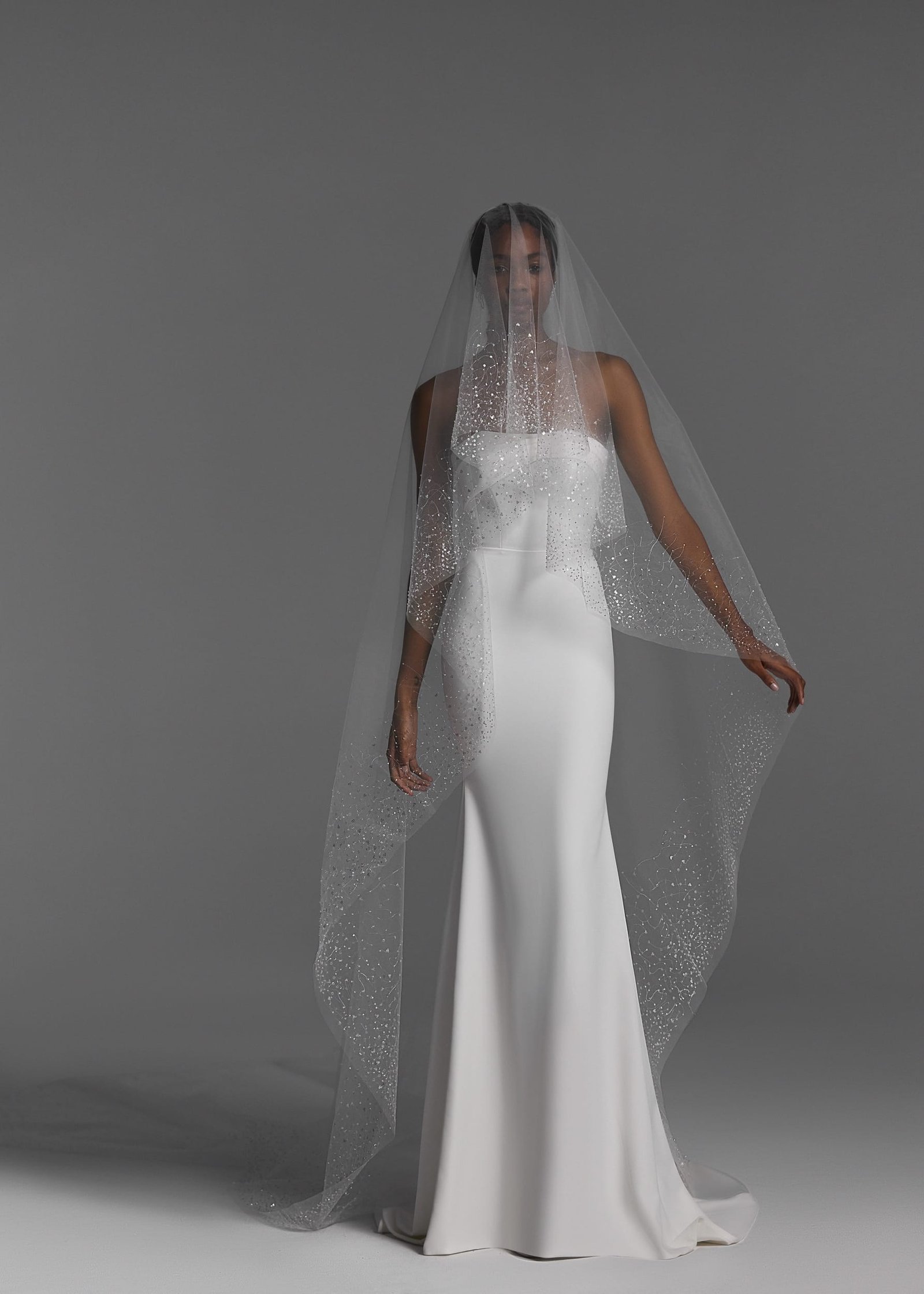 Veils 2024 NV2414 3